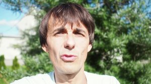 Стих 14. Про выборы