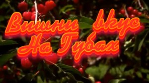 Сергей Грищук -  Вишни вкус На Губах.mp4