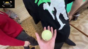 ДАНИЛА ГОРИЛЛА ИГРАЕТ В БИЛЬЯРД ПРОТИВ ДЕДА ПАРАДЕЕВИЧА / хазяева ирл бильярд с дедом парадеевича