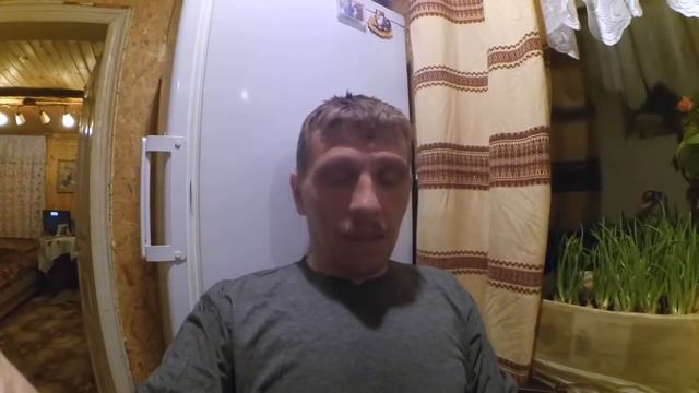 Итоги дня // Яйценоскость деревенских кур несушек, индеек