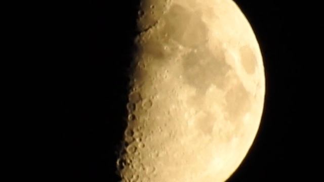 Nikon Coolpix P610 смотреть онлайн