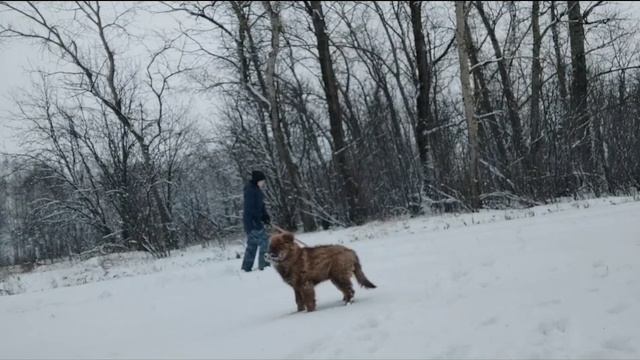 ЖИЗНЬ В ДЕРЕВНЕ. ИЗ ГОРОДА В ДЕРЕВНЮ. СЕРИЯ 28. смотреть онлайн