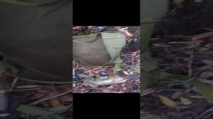 краткий обзор на беговой рюкзак и чайник