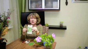 232_Время сеять черемшу