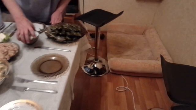 Семейный праздник. Локи и маленькая Женя.