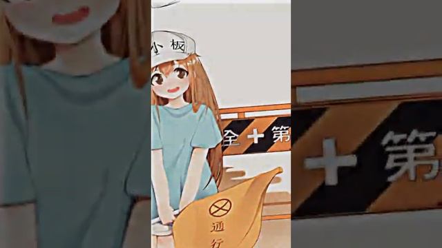 Hataraku saibou //#hatarakusaibou // anime loli