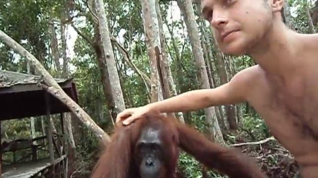 Tanjung Puting National Park, Kalimantan Tengah (Central Borneo)