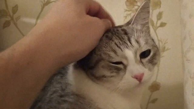 Когда дождались рыбов смотреть онлайн