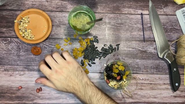 Как помочь птицам смотреть онлайн