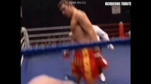 Peter Aerts ► Top 20 Best Knockout Highlights - Extreme high kick!