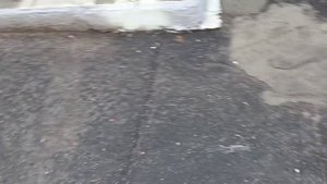 VLOG:поездка в другой город с мини реборном??/наши покупки☃️?