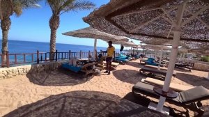 Египет ?? Чудом пронесло / Пляж в отеле DoubleTree by Hilton Шарм Эль Шейх /Бухта Sharks Bay