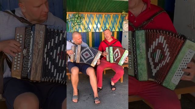 Я плачу, я рыдаю, дорогая! #гармонист #гармоньвидео #гомель #подгармонь #беларусь #деревня