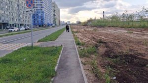 г. Москва,  улица Маршала Еременко, д.5, корп. 1. Благоустройство. 09.08.2023г.