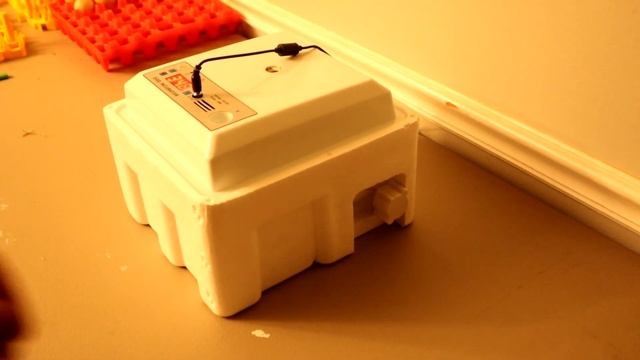 16 Egg Incubator Unboxing  Automatic Egg Incubator Review  Instructions
