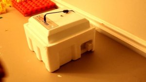 16 Egg Incubator Unboxing | Automatic Egg Incubator Review & Instructions