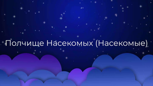 К чему снится Полчище Насекомых (Насекомые) ?