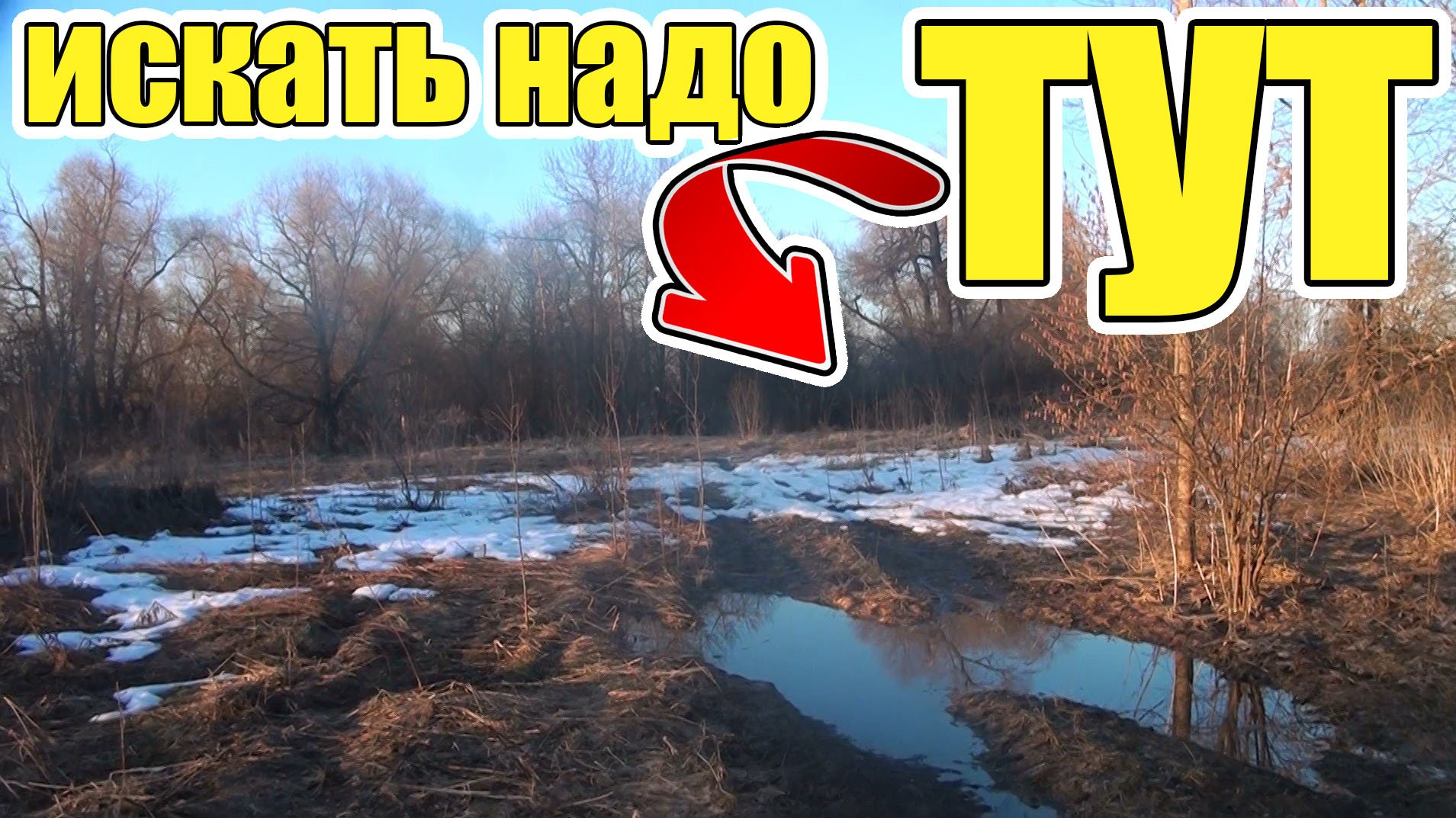 Даже и не думал ,что все находки были рядом с машиной смотреть онлайн