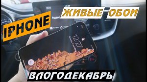 Живые обои - Влогодекабрь