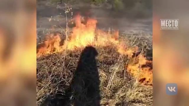 Крупный лесной пожар в Вятскополянском районе