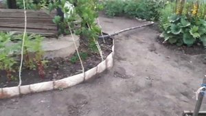 #Обзор#дачи 4 июля 2020 г.