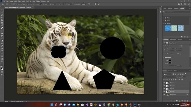 Ultimate Adobe Photoshop Training - From Beginner to Pro 2022 || Transform Layers in Photoshop смотреть онлайн