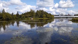 "Горлица и дятел". Поёт Алла Елькина