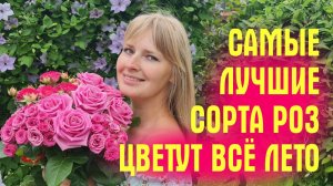 ЭТИ РОЗЫ ЦВЕТУТ ВСЁ ЛЕТО! Показываю ЛУЧШИЕ СОРТА! Обзор сада с розами