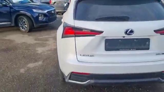 Alex Motors Новороссийск - Автомобили под заказ из Кореи. Работаем по всей РФ.