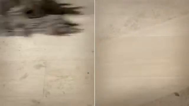 Обзор паровой швабры Black Decker смотреть онлайн