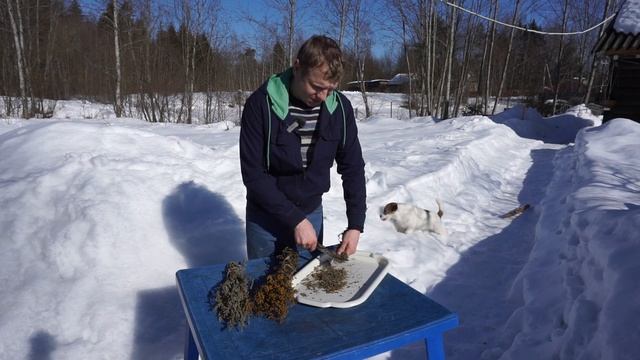 Лечебная подкормка пчёлам. смотреть онлайн