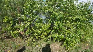 ОЗЕРО ШАЛИНСКОЕ 2022!...