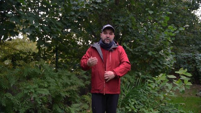 Куртка штормовка Foray Jacket от Outdoor Research с мембраной goretex и необычной вентиляцией смотреть онлайн