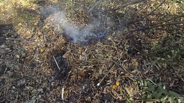 НУЖНО ЛИ УБИРАТЬ ОПАВШУЮ ЛИСТВУ С УЧАСТКА ОСЕНЬЮ.ЕЁ ПОЛЬЗА ИЛИ ВРЕД. смотреть онлайн