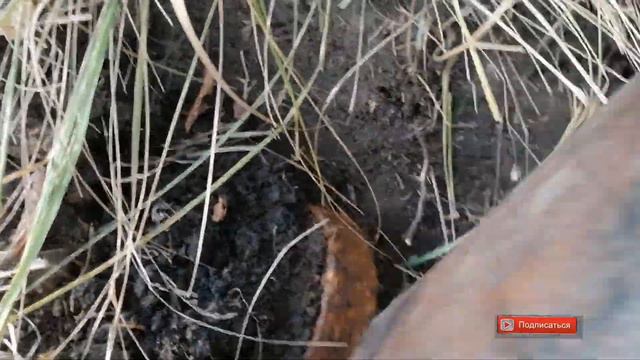 Коп Металлолом 03\10\2023, Искал полевой  стант а его нет