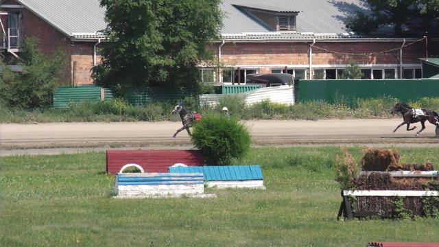 29.06.2024г.Абаканский Ипподром Приз Ковбоя лошади Орловской рысистой породы 3-х лет 1600м