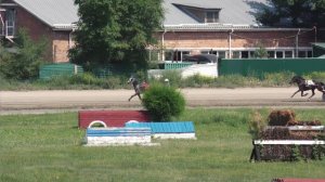 29.06.2024г.Абаканский Ипподром Приз Ковбоя лошади Орловской рысистой породы 3-х лет 1600м