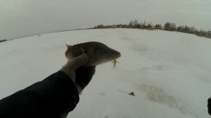 На первый лёд Рыбинского водохранилища за ОКУНЯМИ. Рыбалка на окуня с балансиром. Первый лед 21-22.