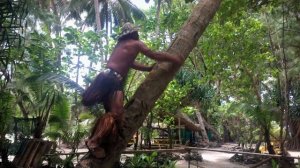 Koka Lagoon Boys - Cook Islands Music - "Kua Iti Te Marama"