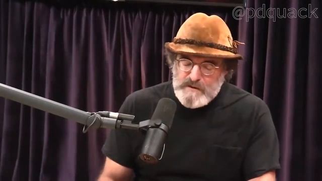 Ежевик гребенчатый - целебные свойства смотреть онлайн