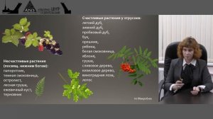 Мария Назарова: "Верования народов Апеннинского полуострова"