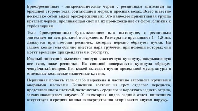 Животные (Часть 24) - Класс Брюхоресничные смотреть онлайн