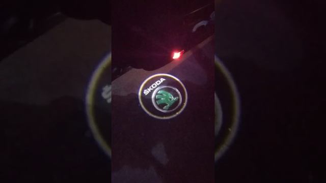Подсветка дверей Skoda Octavia a5 FL смотреть онлайн