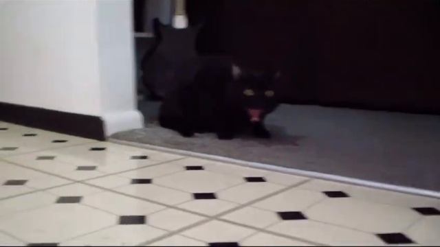 Frozen in Time - Sylvester смотреть онлайн