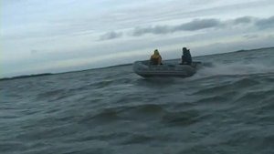Лодки надувные пвх посейдон от компании посейдон