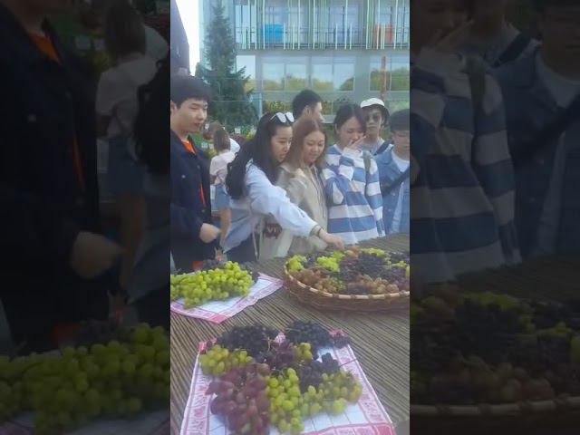 Выставка Московского клуба Виноградарей в «Аптекарском огороде»