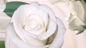 С 8 Марта!!! Волшебное Праздничное Поздравление!!! 8 Марта - Женский День!!! Видео к 8 Марта!!!