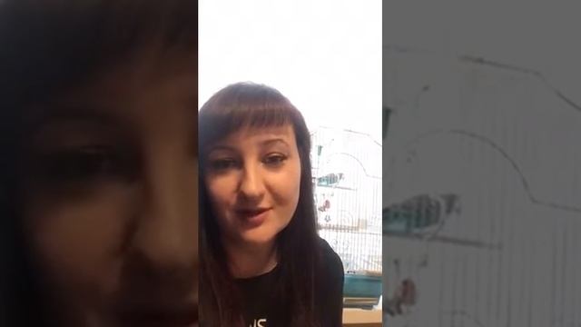 Отзыв о компании Уютный дом в Рязани по установке пластиковых окон смотреть онлайн