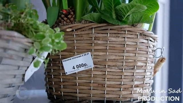 Садовый Центр 