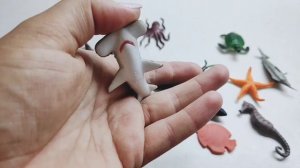 Морские животные для малышей